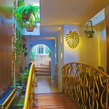 Casa Mary Hotel 2*