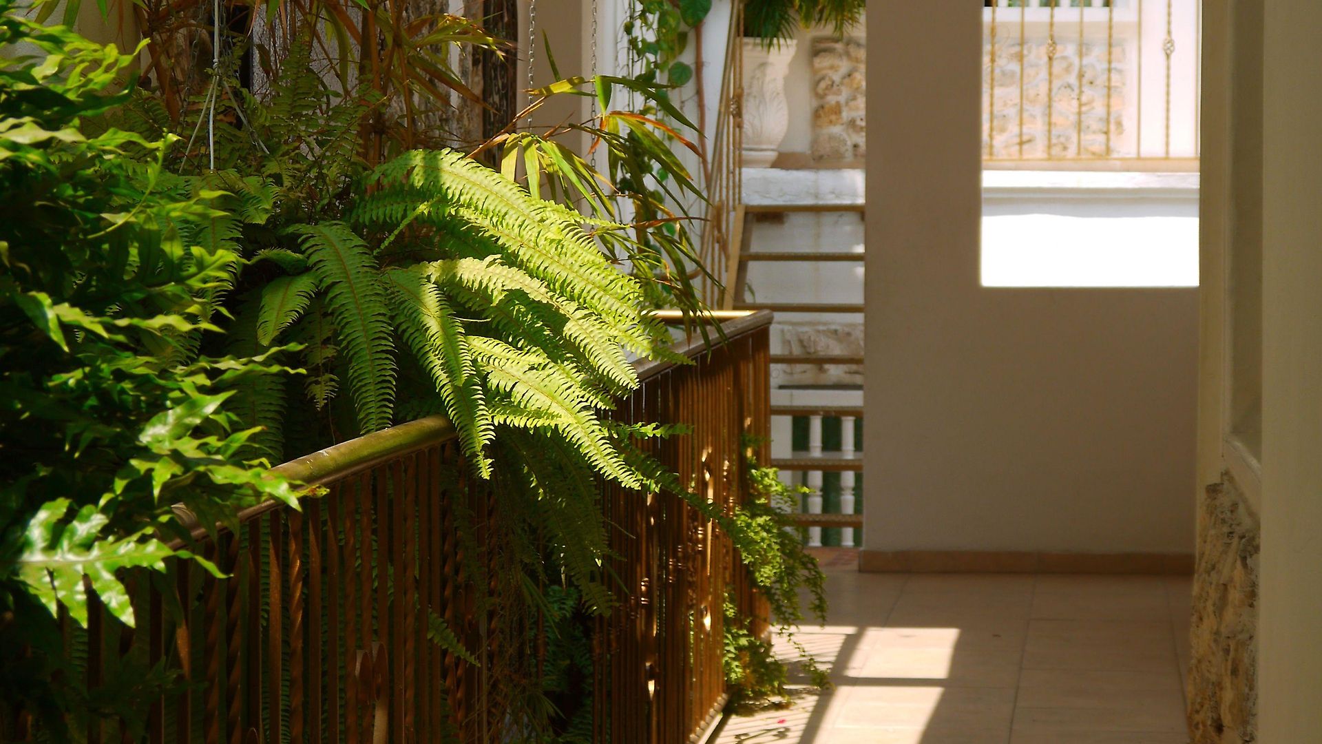 Hotel Casa Mary