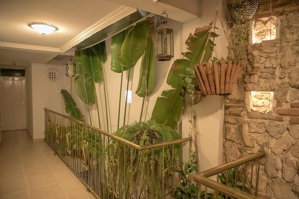 Hotel Casa Mary 2*