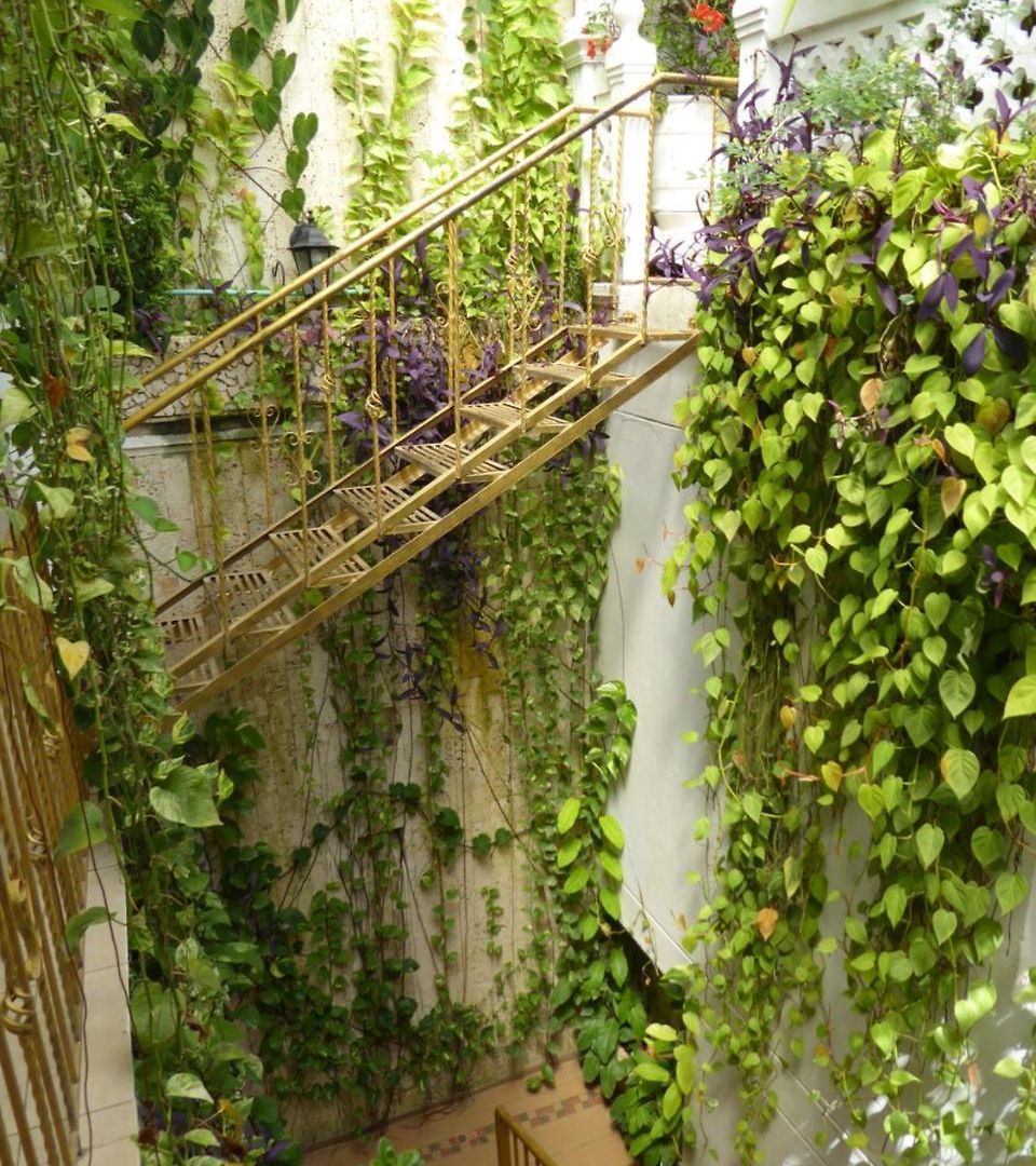 Casa Mary 2* Cartagena