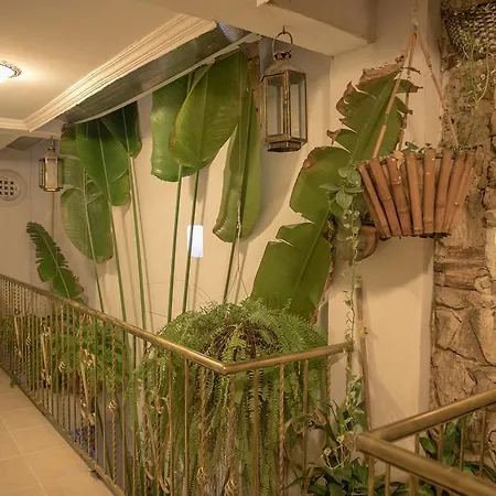 Hotel Casa Mary 2*