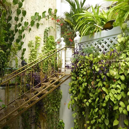 Hotel Casa Mary